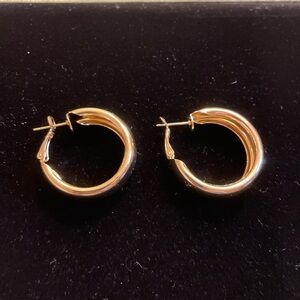 NWOT Gold  Hoop Earrings